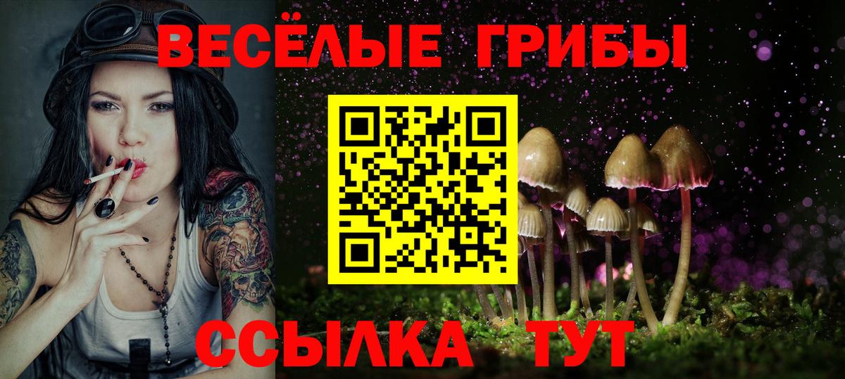 Галлюциногенные грибы мухоморы Обнинск